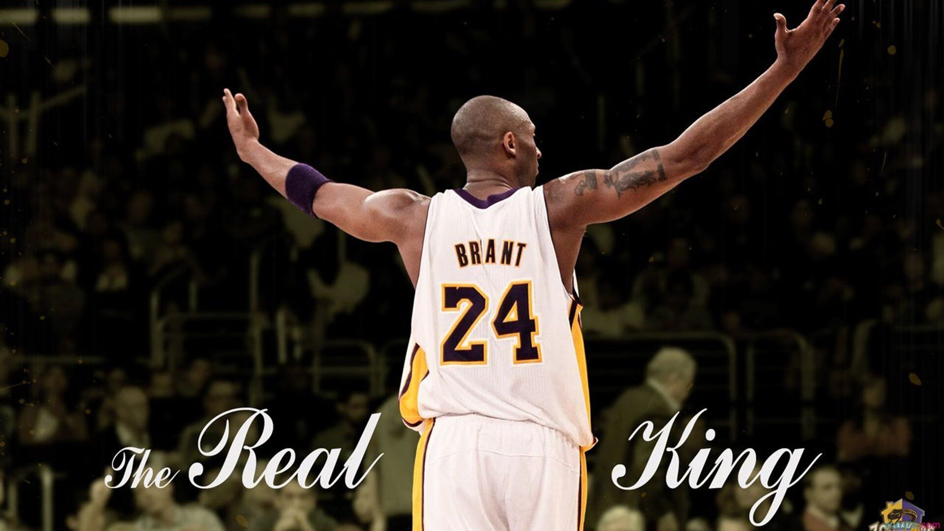  西亚卡姆连续七场比赛得分超过败北，TL不断突破！热度持续攀升